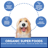 Dog Mamma's Organic Dog Treats Berry Banana Coco Chunk