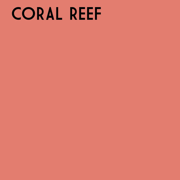 -Coral Reef One Step Plaster Paint