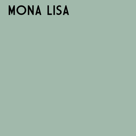 -Mona Lisa One Step Plaster Paint