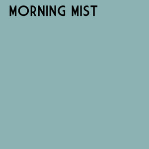 -Morning Mist One Step Plaster Paint