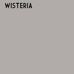 -Wisteria One Step Plaster Paint