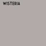 -Wisteria One Step Plaster Paint