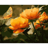 Peach butterfly in the summer - DIY Paint By Numbers Kit