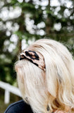 Leopard Hairband